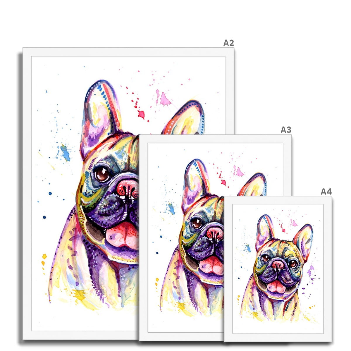 Framed French Bulldog Print size guide white