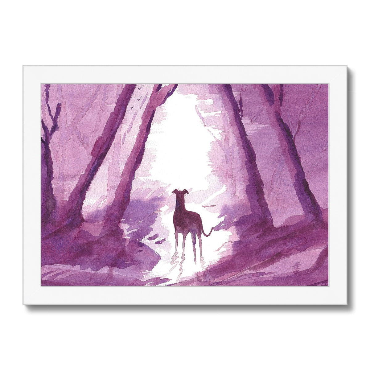 Greyhound Framed Prints