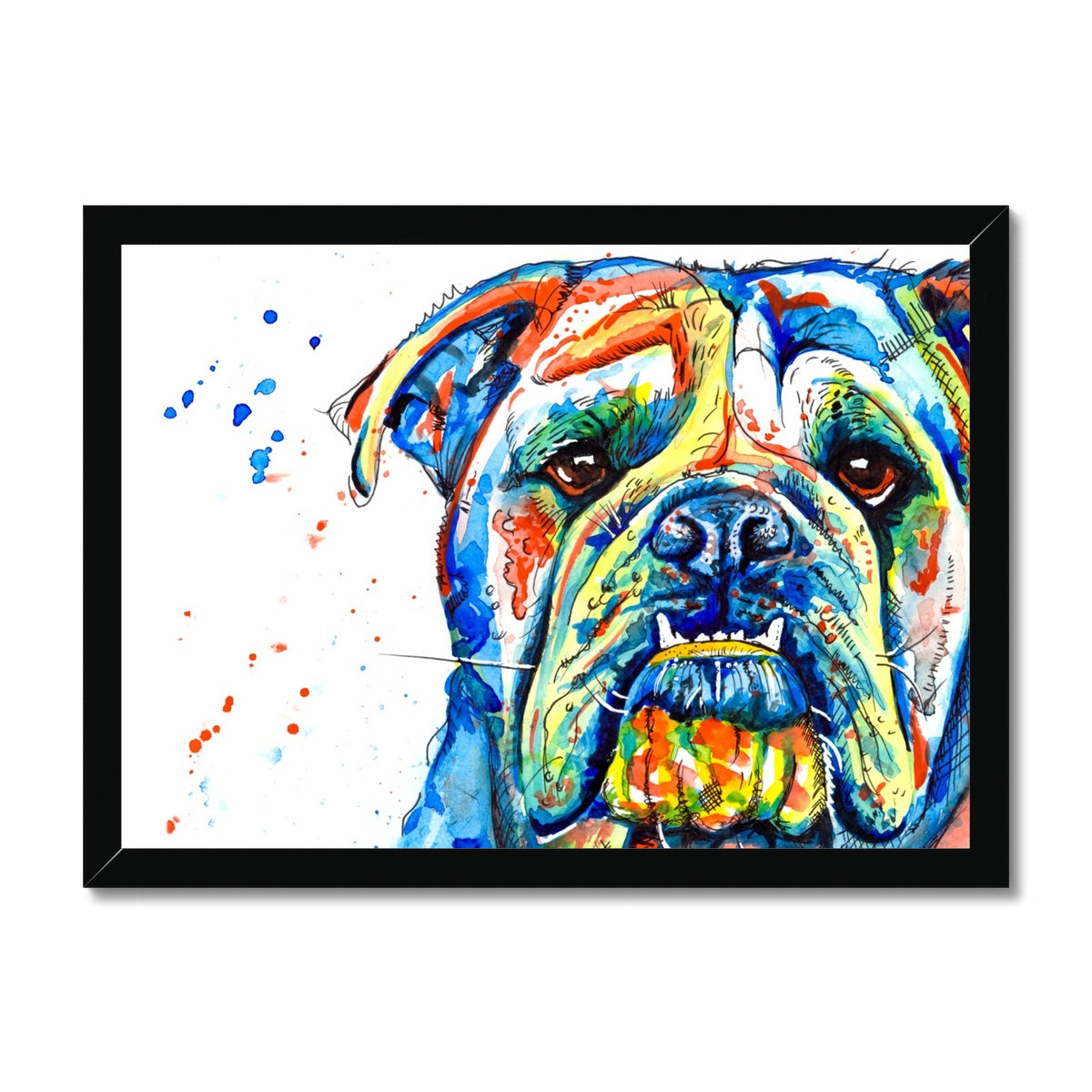 British Bulldog Framed Print - 'Handsome Lad'