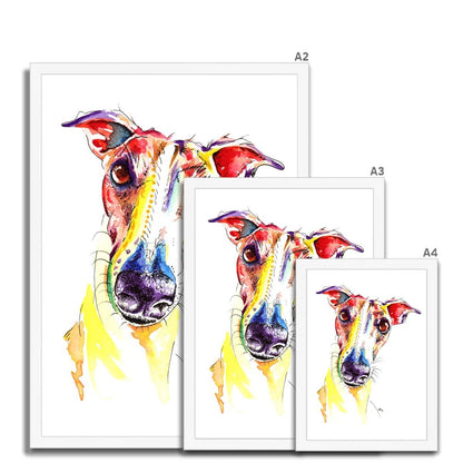 Framed Greyhound Prints