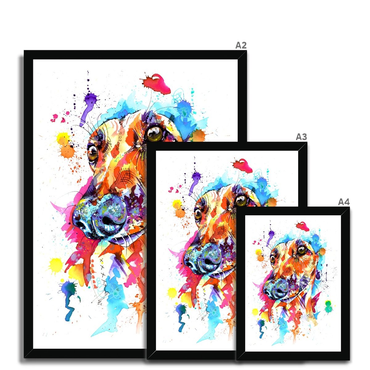greyhound framed prints size guide